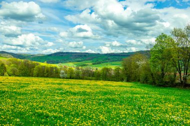 Wasserkuppe - Hesse - Almanya çevresindeki güzel Rhn dağlarında bahar yürüyüşü