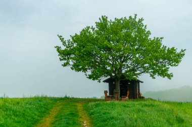 Rennsteig boyunca Hrschel ve Blankenstein arasındaki ilk adımlar güzel bahar zamanı - Thüringen - Almanya