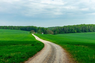 Rennsteig boyunca Hrschel ve Blankenstein arasındaki ilk adımlar güzel bahar zamanı - Thüringen - Almanya