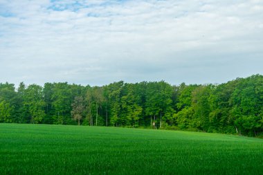 Rennsteig boyunca Hrschel ve Blankenstein arasındaki ilk adımlar güzel bahar zamanı - Thüringen - Almanya