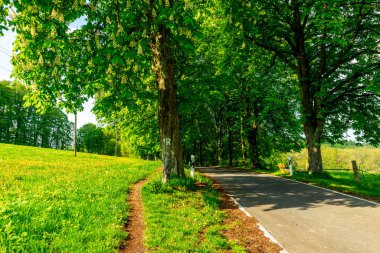 Rennsteig boyunca Hrschel ve Blankenstein arasındaki ilk adımlar güzel bahar zamanı - Thüringen - Almanya