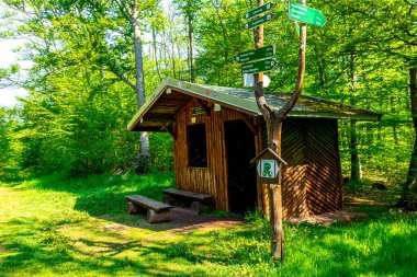 Rennsteig boyunca Hrschel ve Blankenstein arasındaki ilk adımlar güzel bahar zamanı - Thüringen - Almanya