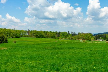 Rennsteig boyunca Hrschel ve Blankenstein arasındaki ilk adımlar güzel bahar zamanı - Thüringen - Almanya