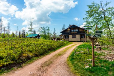 Rennsteig boyunca Hrschel ve Blankenstein arasındaki ilk adımlar güzel bahar zamanı - Thüringen - Almanya