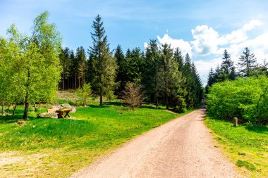 Rennsteig boyunca Hrschel ve Blankenstein arasındaki ilk adımlar güzel bahar zamanı - Thüringen - Almanya