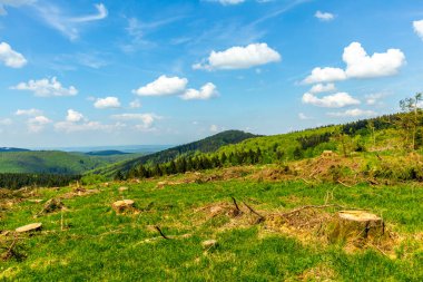 Rennsteig boyunca Hrschel ve Blankenstein arasındaki ilk adımlar güzel bahar zamanı - Thüringen - Almanya