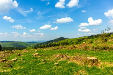 Rennsteig boyunca Hrschel ve Blankenstein arasındaki ilk adımlar güzel bahar zamanı - Thüringen - Almanya