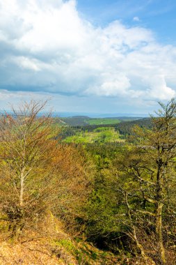 Rennsteig boyunca Hrschel ve Blankenstein arasındaki ilk adımlar güzel bahar zamanı - Thüringen - Almanya