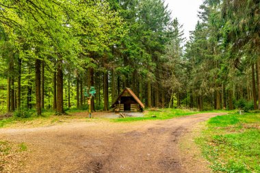 Rennsteig boyunca Hrschel ve Blankenstein arasındaki ilk adımlar güzel bahar zamanı - Thüringen - Almanya