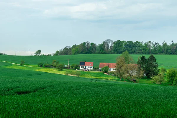 Premiers Pas Long Rennsteig Entre Hrschel Blankenstein Beau Printemps Thuringe — Photo