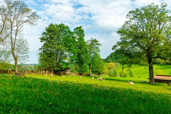 stock image First steps along the Rennsteig between Hrschel and Blankenstein in beautiful spring time - Thuringia - Germany