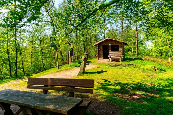 stock image First steps along the Rennsteig between Hrschel and Blankenstein in beautiful spring time - Thuringia - Germany