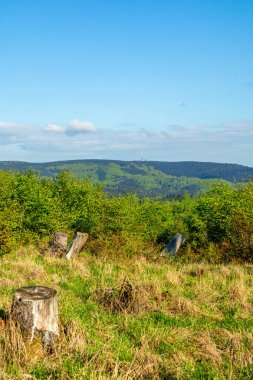 Rennsteig boyunca Hrschel ve Blankenstein arasındaki ilk adımlar güzel bahar zamanı - Thüringen - Almanya