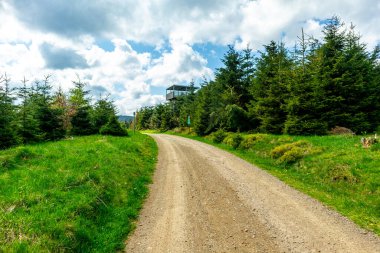 Rennsteig boyunca Hrschel ve Blankenstein arasındaki ilk adımlar güzel bahar zamanı - Thüringen - Almanya