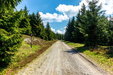 Rennsteig boyunca Hrschel ve Blankenstein arasındaki ilk adımlar güzel bahar zamanı - Thüringen - Almanya