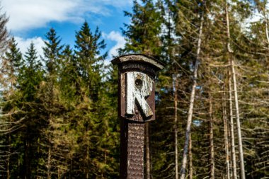 Rennsteig boyunca Hrschel ve Blankenstein arasındaki ilk adımlar güzel bahar zamanı - Thüringen - Almanya
