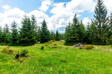 Rennsteig boyunca Hrschel ve Blankenstein arasındaki ilk adımlar güzel bahar zamanı - Thüringen - Almanya