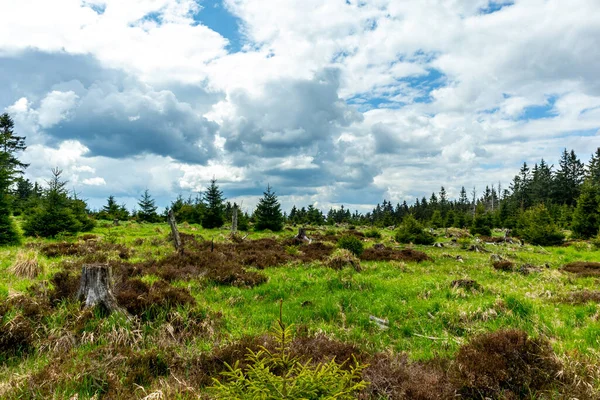 Rennsteig boyunca Hrschel ve Blankenstein arasındaki ilk adımlar güzel bahar zamanı - Thüringen - Almanya