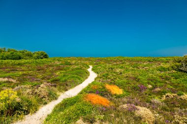 Brittany - Plvenon - Fransa 'da Manzaralı Işıklı Yol' da