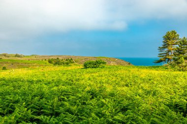 Güzel Brittany yolunda Cap d 'Erqui - Erquy - Fransa
