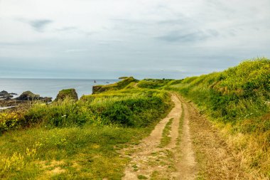 Plougonvelin-Fransa yakınlarındaki güzel Brittany 'deki Pointe Saint-Mathieu' de küçük bir keşif turu.