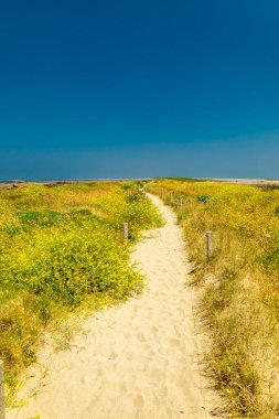 Pleubian, Fransa yakınlarındaki güzel Brittany 'deki Sillon de Talbert yarımadasına küçük bir keşif turu.