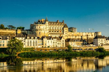 Amboise Şatosu 'ndaki güzel Seine Vadisi' nde yaz keşfi - Indre-et-Loire - Fransa