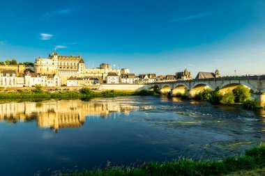 Amboise Şatosu 'ndaki güzel Seine Vadisi' nde yaz keşfi - Indre-et-Loire - Fransa