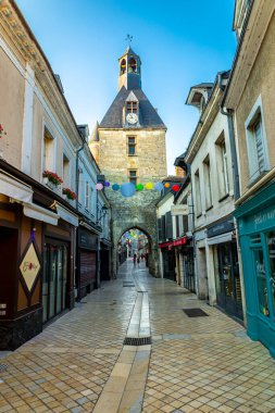 Amboise Şatosu 'ndaki güzel Seine Vadisi' nde yaz keşfi - Indre-et-Loire - Fransa