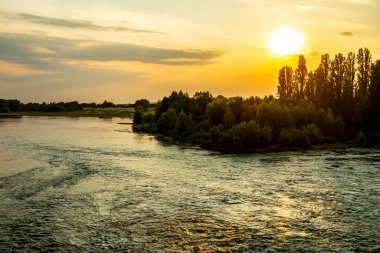 Amboise Şatosu 'ndaki güzel Seine Vadisi' nde yaz keşfi - Indre-et-Loire - Fransa