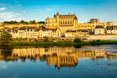 Amboise Şatosu 'ndaki güzel Seine Vadisi' nde yaz keşfi - Indre-et-Loire - Fransa