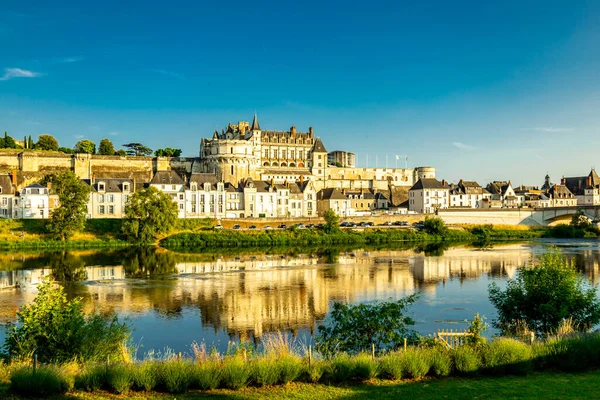 Sommerliche Entdeckung Wunderschönen Seine Tal Bei Schloss Amboise Indre Loire — Stockfoto