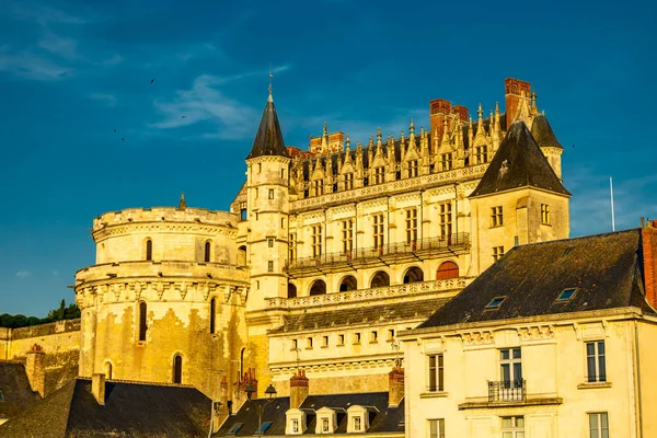 Descubrimiento Verano Hermoso Valle Del Sena Castillo Amboise Indre Loire —  Fotos de Stock