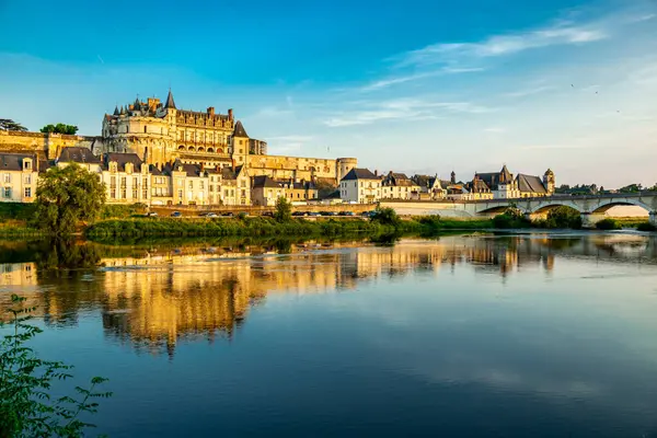 Kesän Löytö Kauniissa Seinen Laaksossa Amboisen Linnassa Indre Loire Ranska — kuvapankkivalokuva