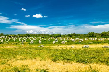 Atlas Okyanusu kıyısında, Carnac 'ın taşları ve Fransa' nın mimari özellikleriyle.