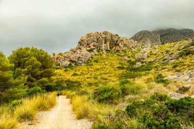 Cala Sant Vicen körfezinde, Mallorca 'nın güzel Balearic adasında tatil atmosferi