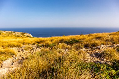 Cala Sant Vicen körfezinde, Mallorca 'nın güzel Balearic adasında tatil atmosferi