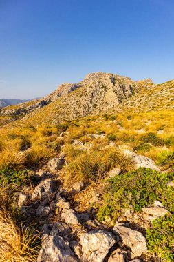 Cala Sant Vicen körfezinde, Mallorca 'nın güzel Balearic adasında tatil atmosferi