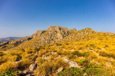 Cala Sant Vicen körfezinde, Mallorca 'nın güzel Balearic adasında tatil atmosferi