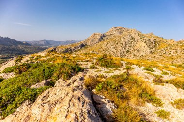 Cala Sant Vicen körfezinde, Mallorca 'nın güzel Balearic adasında tatil atmosferi