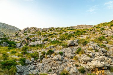 Cala Sant Vicen körfezinde, Mallorca 'nın güzel Balearic adasında tatil atmosferi
