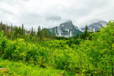 Güzel Berchtesgaden Alpleri 'nden geçerek Watzmann - Berchtesgaden - Bavyera - Almanya