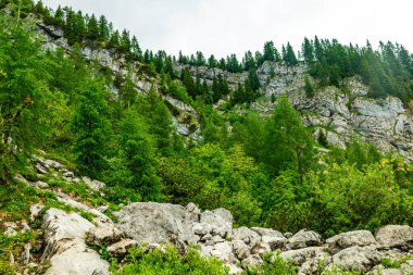 Güzel Berchtesgaden Alpleri 'nden geçerek Watzmann - Berchtesgaden - Bavyera - Almanya