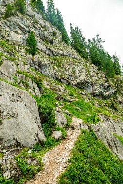 Güzel Berchtesgaden Alpleri 'nden geçerek Watzmann - Berchtesgaden - Bavyera - Almanya