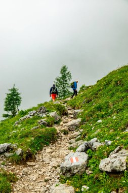 Güzel Berchtesgaden Alpleri 'nden geçerek Watzmann - Berchtesgaden - Bavyera - Almanya