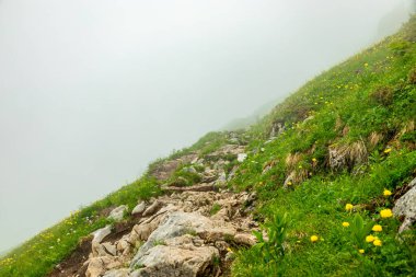 Güzel Berchtesgaden Alpleri 'nden geçerek Watzmann - Berchtesgaden - Bavyera - Almanya