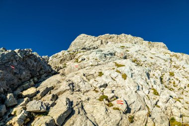 Güzel Berchtesgaden Alpleri 'nden geçerek Watzmann - Berchtesgaden - Bavyera - Almanya