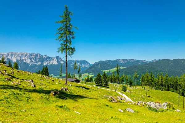 Güzel Berchtesgaden Alpleri 'nden geçerek Watzmann - Berchtesgaden - Bavyera - Almanya