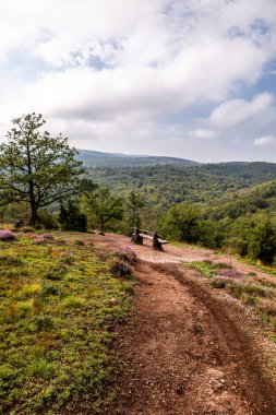 Eisenach yakınlarındaki Ejderha Vadisi 'nde yaz yürüyüşü - Thüringen - Almanya