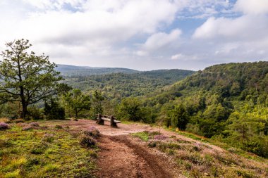 Eisenach yakınlarındaki Ejderha Vadisi 'nde yaz yürüyüşü - Thüringen - Almanya